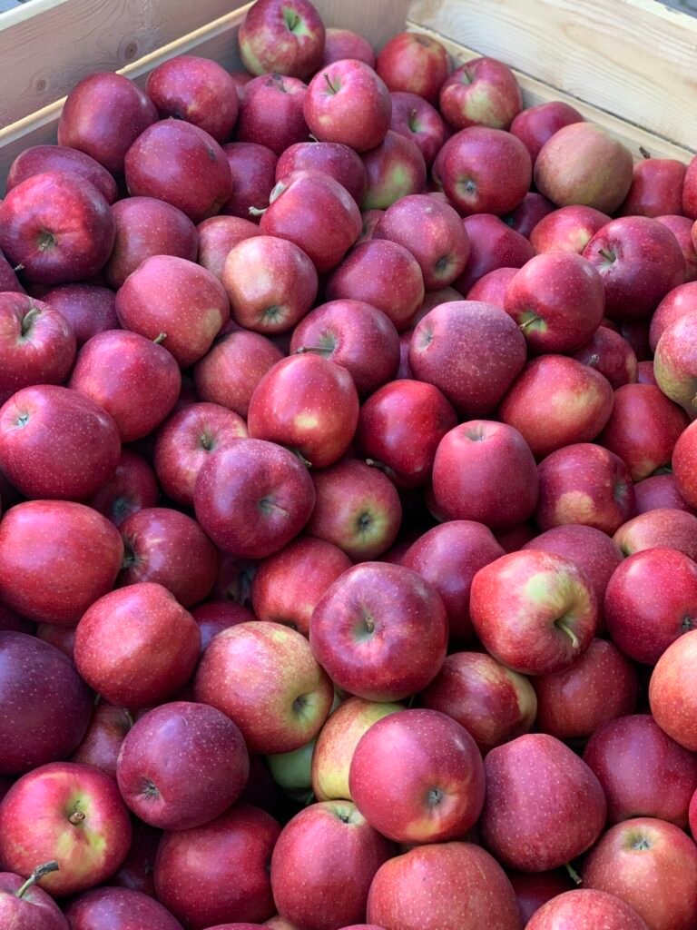 ocet jabłkowy na odchudzanie wzdęcia i poprawę trawienia